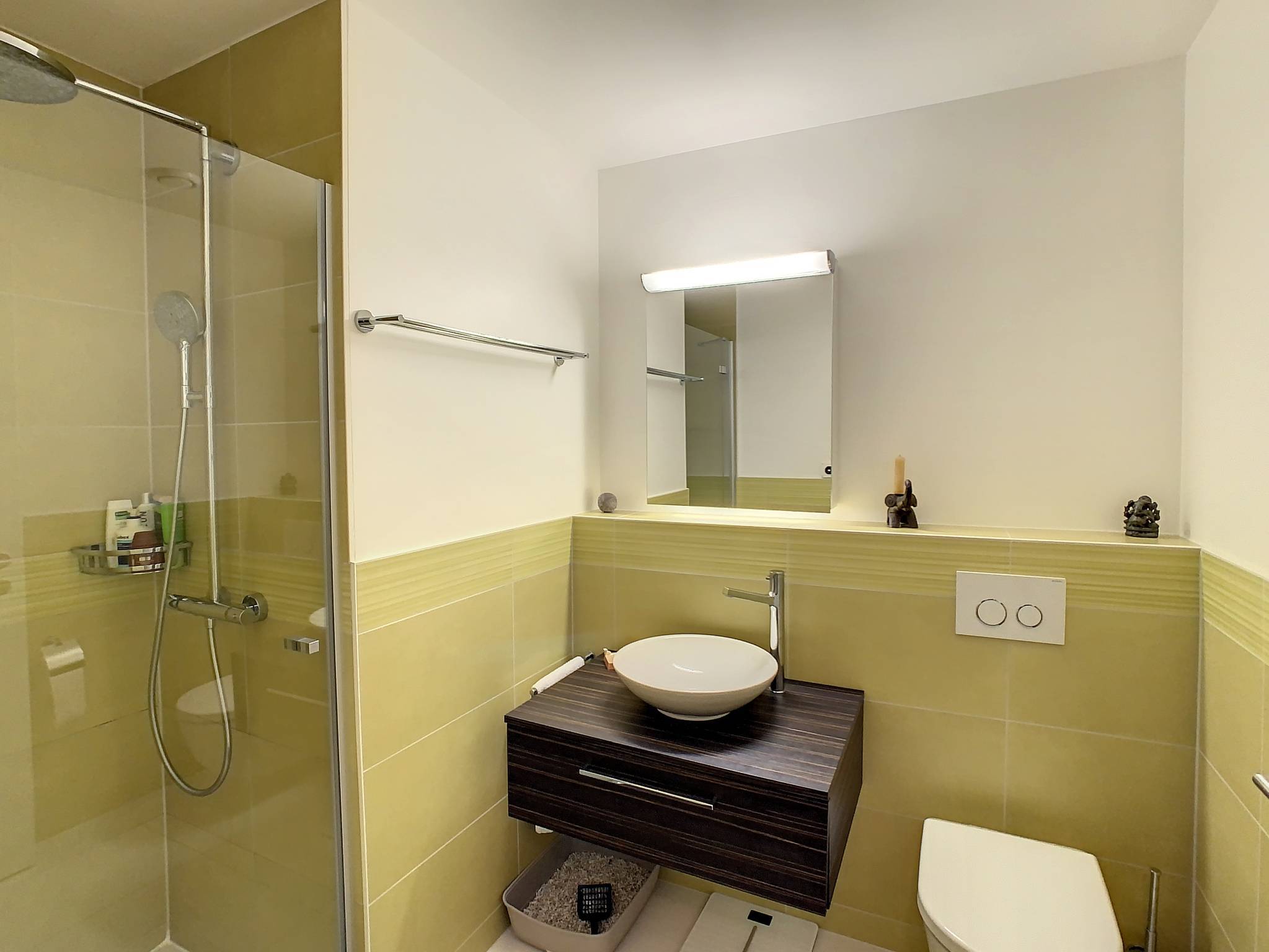 EN EXCLUSIVITÉ Appartement de 5.5 pièces au rez-de-jardin
